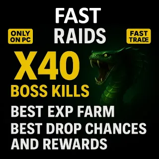 PC Fast Raids X40