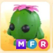 MFR Cactus Friend