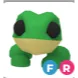 Frog FR / Instant delivery