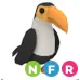 Toucan nfr / Instant deliver