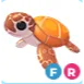 Sea Turtle FR