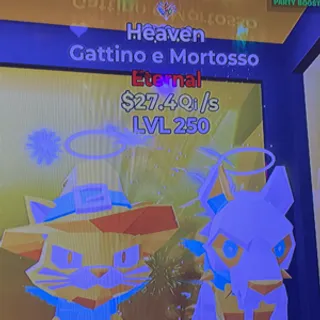 heaven gattino
