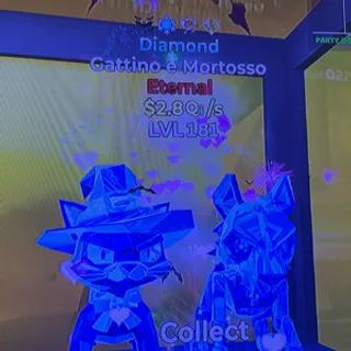 diamond gattino