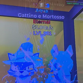 aqua gattino