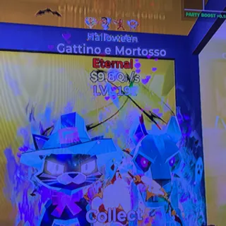halloween gattino