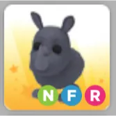 nfr rhino