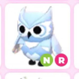 NR SNOW OWL