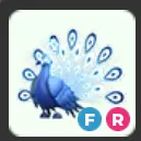 fr moonbeam peacock