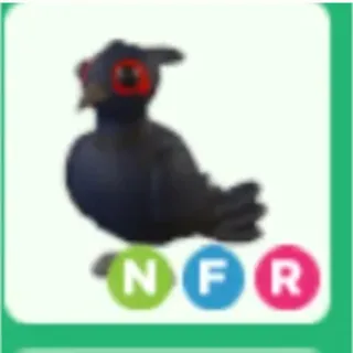 nfr black chested pheasant