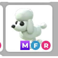 MFR POODLE