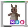 MFR kangaroo