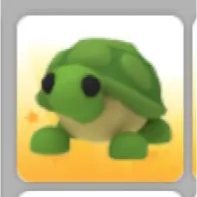 Pet | Turtle