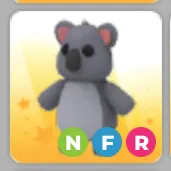 nfr koala