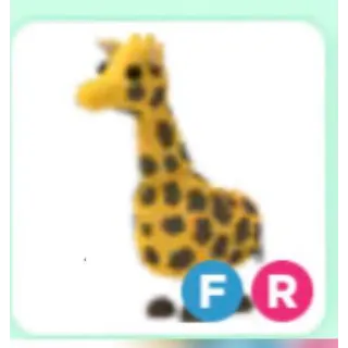 FR GIRAFFE