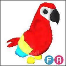Pet | FR Parrot
