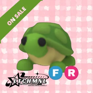FR TURTLE