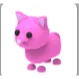pink cat