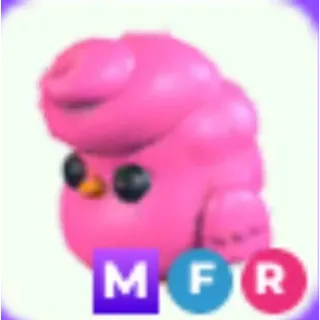 MFR CANDYFLOSS CHICK
