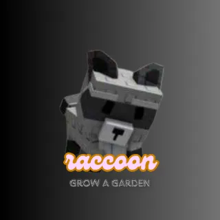 Raccoon
