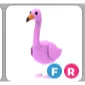 FR Flamingo