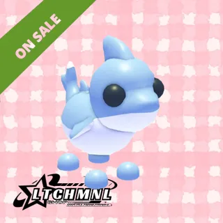 shark puppy