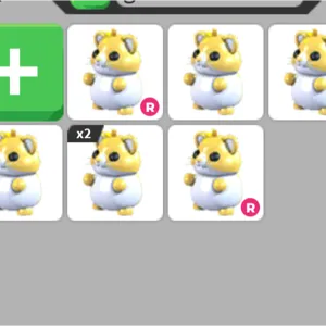 7x Golden hamster