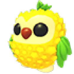 Pineapple Owl