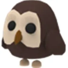 Pet | FR | Owl