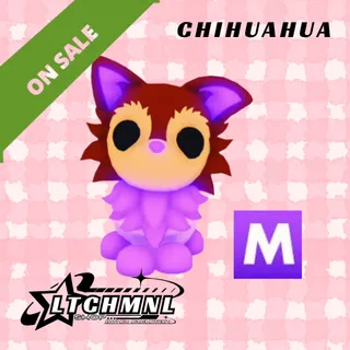 MEGA Chihuahua
