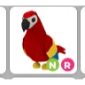 NR Parrot