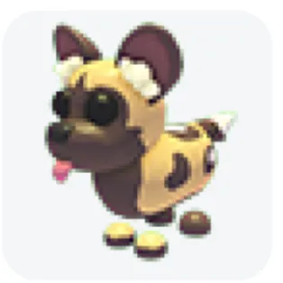 Pet | African wild dog