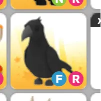 Pet | FR Crow