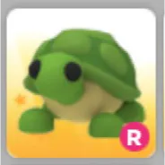 Pet | Ride Turtle