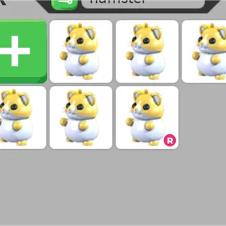 6x Golden hamster
