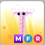 MFR JELLYFISH