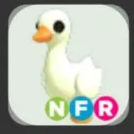 NFR GOOSE