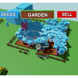 371 candy blossom seeds and trees