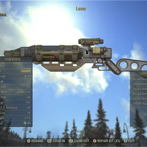 Fully Invalid Laser NW