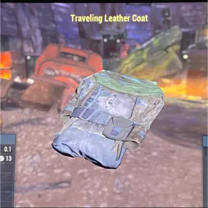 Traveling Leather Coat