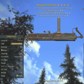 Resolute Veteran