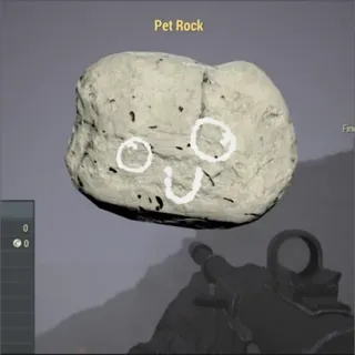 Pet Rock