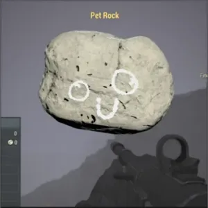 Pet Rock