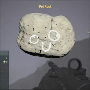 Pet Rock