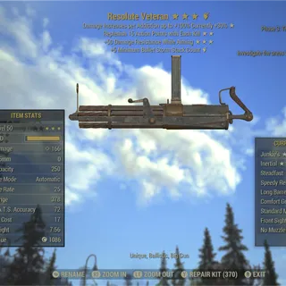 Resolute Veteran