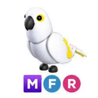 MFR White Amazon