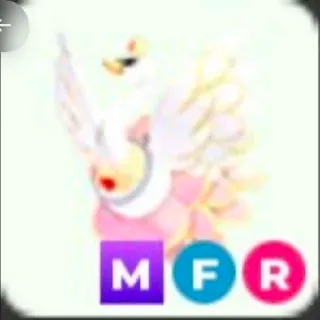 MFR Ballet Swan