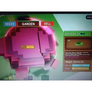 NIGHTMARE SEA TURTLE 20S CD 100KG PLUS !