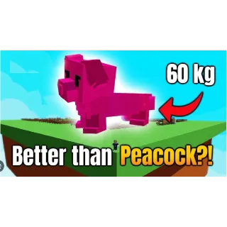 Nightmare Rainbow Hatched Hotdog Daschund 60KG PLUS !