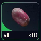 Arc Raiders 10x Prickly Pear