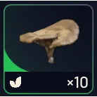 Arc Raiders 10x Mushroom